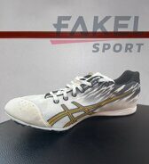 Кроссовки мужские Asics JAPAN THANDER B302N-0193