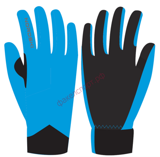 Перчатки Nordski Elite Blue G-Tex NSV249192